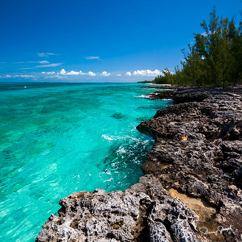 Rocky ironshore meeting clear turquoise water on Eleuthera